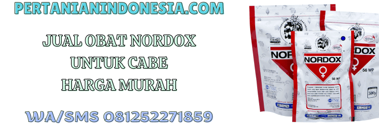 jual,murah,terjangkau,toko pertanian terdekat,pertanian indonesia